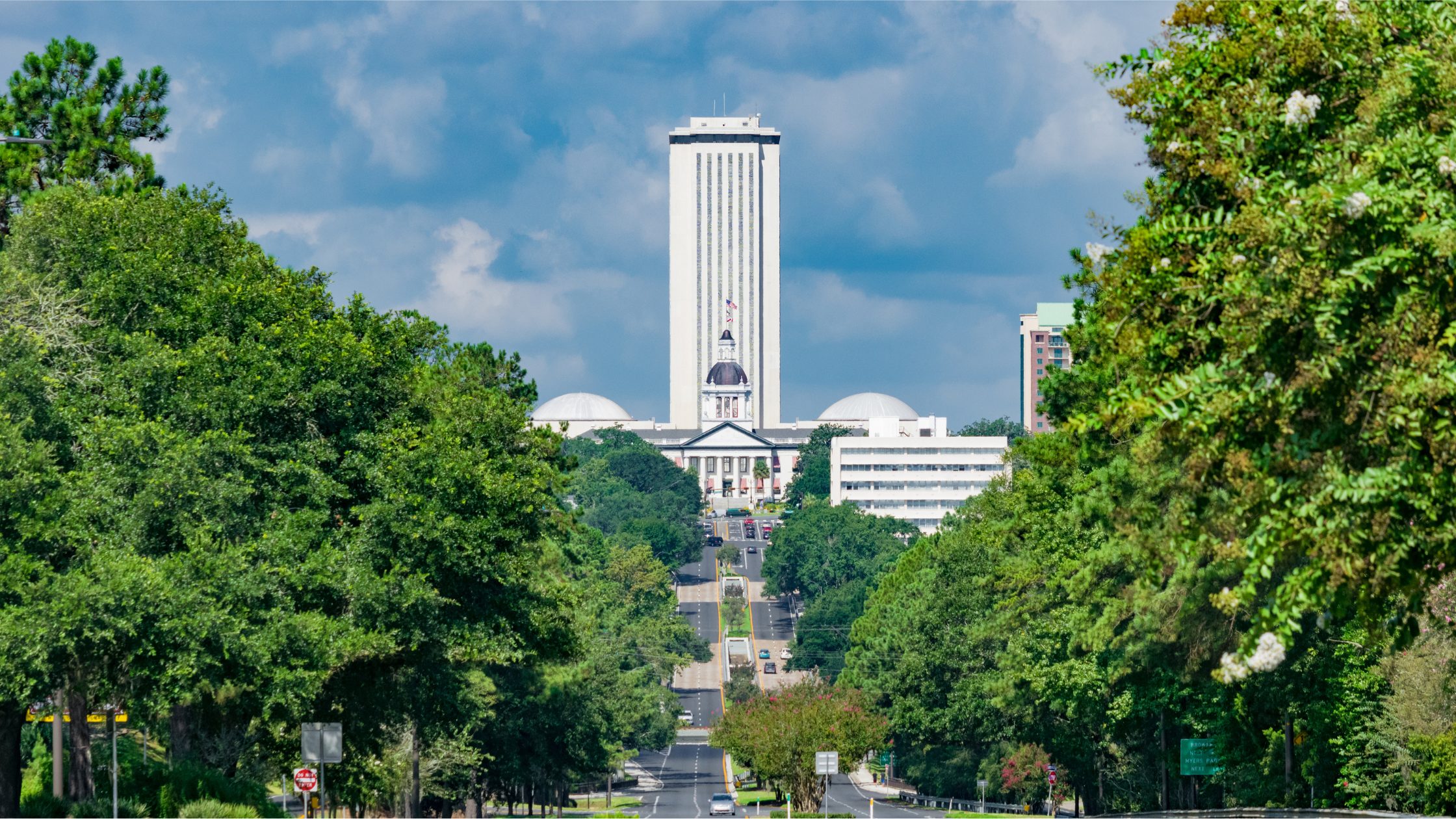 Stock photo onlooking the front of Tallahassee's State Capitol building(s). The view overlooks Apalachee Street, which leads directly to the buildings. There are bright green trees on either side of the road, curving over it. The sky behind the buildings is cloudy and blue. There are cars driving on the road as well.