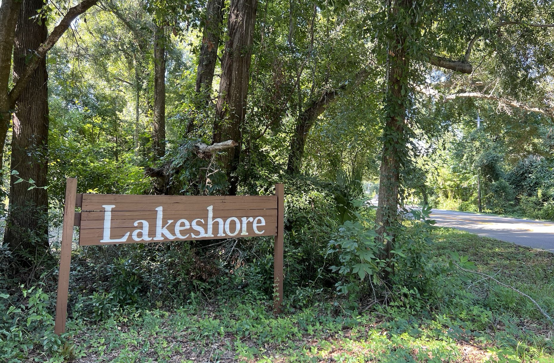 Lakeshore simple wooden back entrance sign