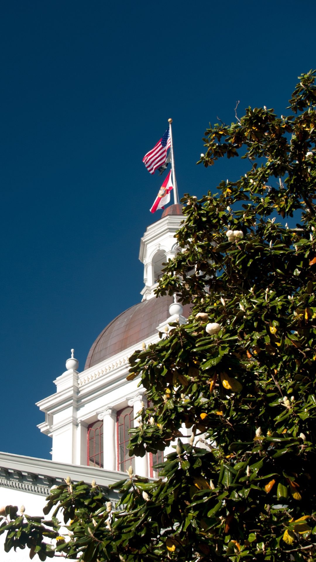 Image of old Florida capitol building in Tallahassee
